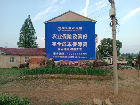 沙洋墙体广告的优劣势你知道吗？