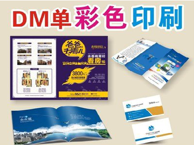 沙洋单页印刷，色彩搭配简单。